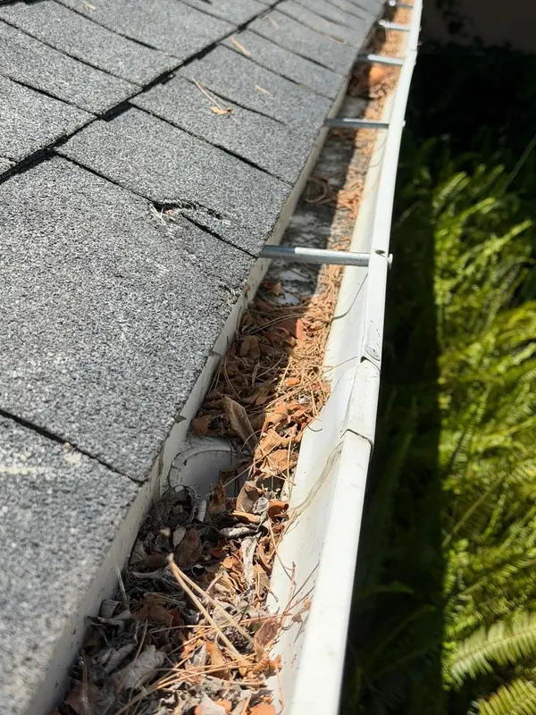Gutter packed with leaves and debris before cleaning