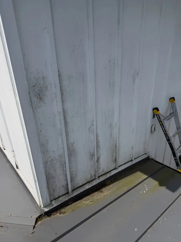 White board-and-batten siding streaked with mildew before cleaning